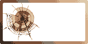 selfanim.gif (8002 Byte)